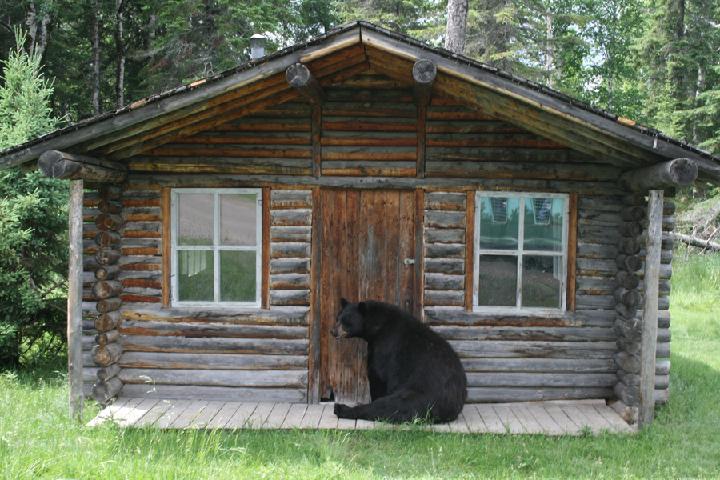 zoo 165.JPG